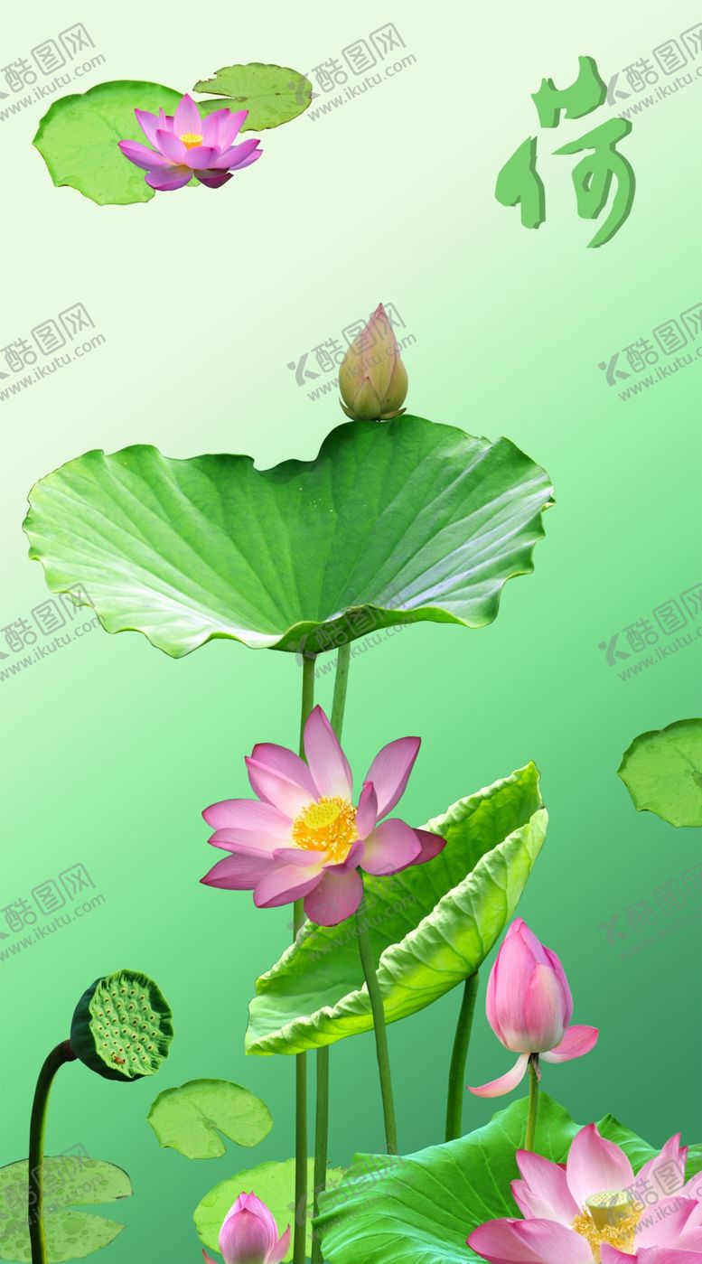 编号：68935209160859042511【酷图网】源文件下载-荷花海报