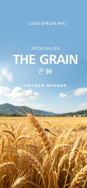 节气芒种小满