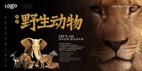 保护野生动物