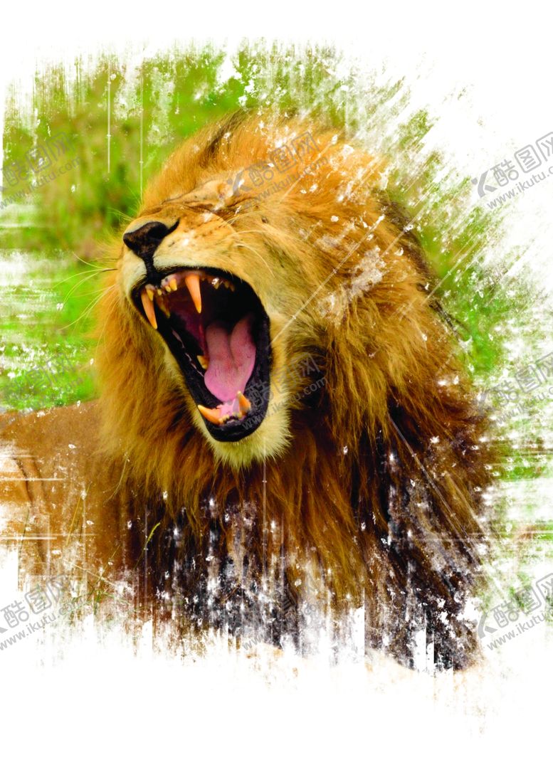 编号：45988810050222572182【酷图网】源文件下载-狮子