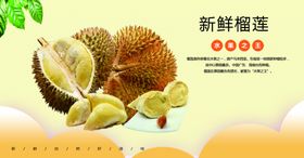 榴莲海报