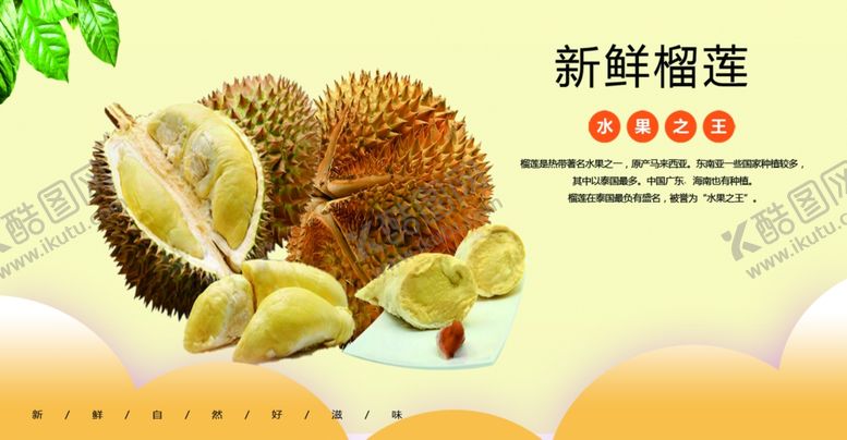 编号：40461205181858288903【酷图网】源文件下载-榴莲海报