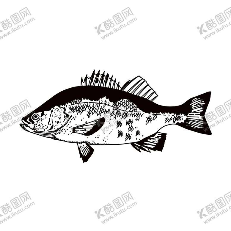 编号：38529409120207289158【酷图网】源文件下载-鱼
