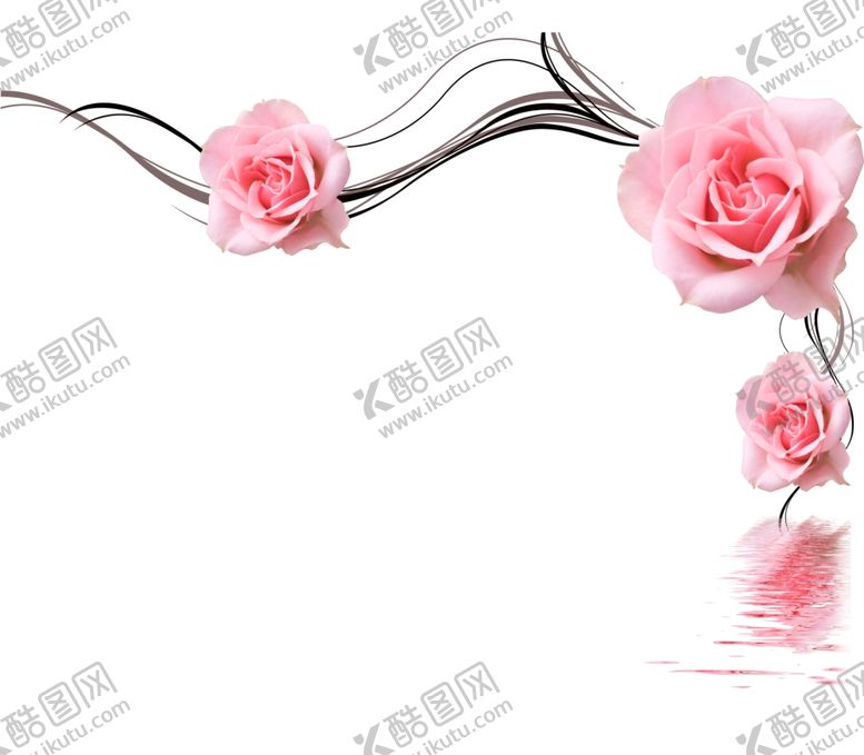 编号：23125909280017005534【酷图网】源文件下载-玫瑰花