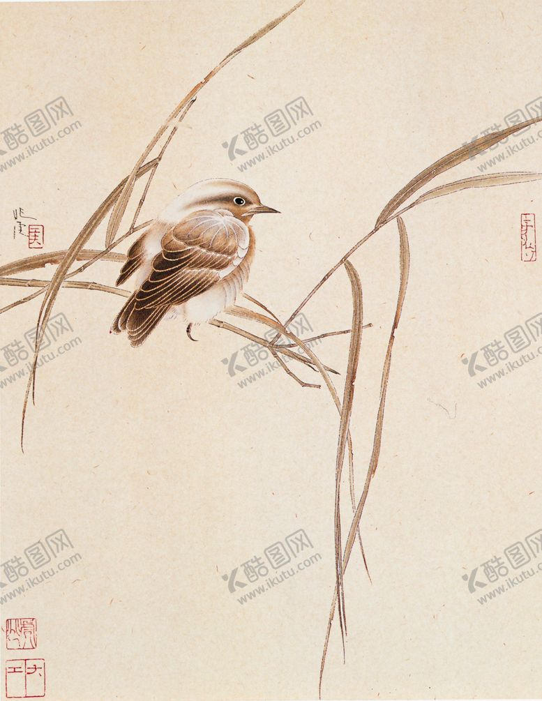 编号：70895809271206425306【酷图网】源文件下载-花鸟图