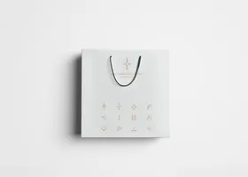 手提袋包装设计样机