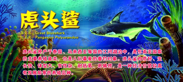 编号：63724009141440258594【酷图网】源文件下载-鲨鱼灯箱海洋馆水族馆