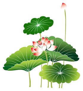 荷花素材