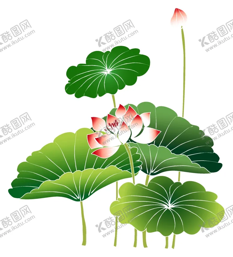 编号：53713806301331564543【酷图网】源文件下载-荷花素材