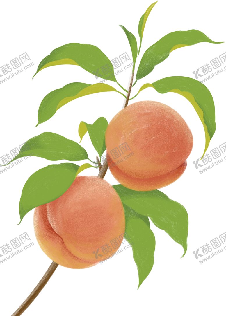 编号：12096005130126336881【酷图网】源文件下载-水蜜桃