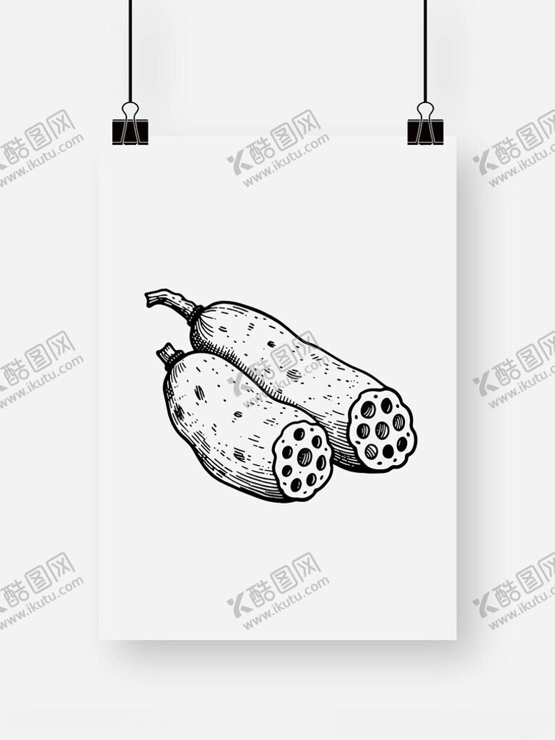 编号：91153209250426206121【酷图网】源文件下载-莲藕