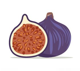 无花果