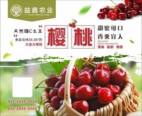 新鲜樱桃海报满诱人的果实