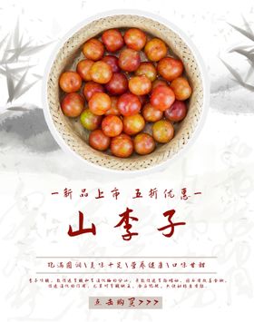 山李子三华李黑宝石李