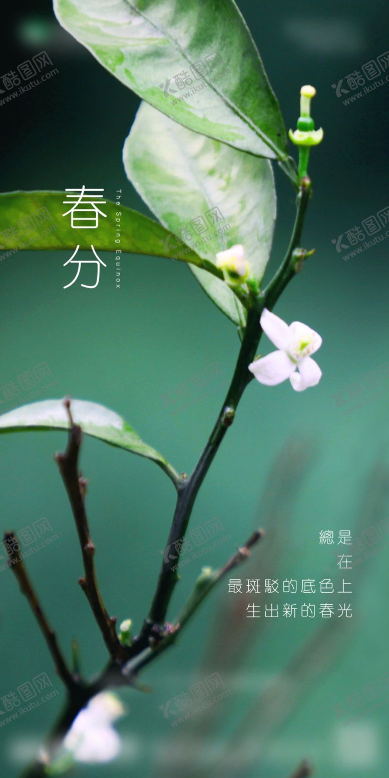 编号：35470610170545406221【酷图网】源文件下载-春分