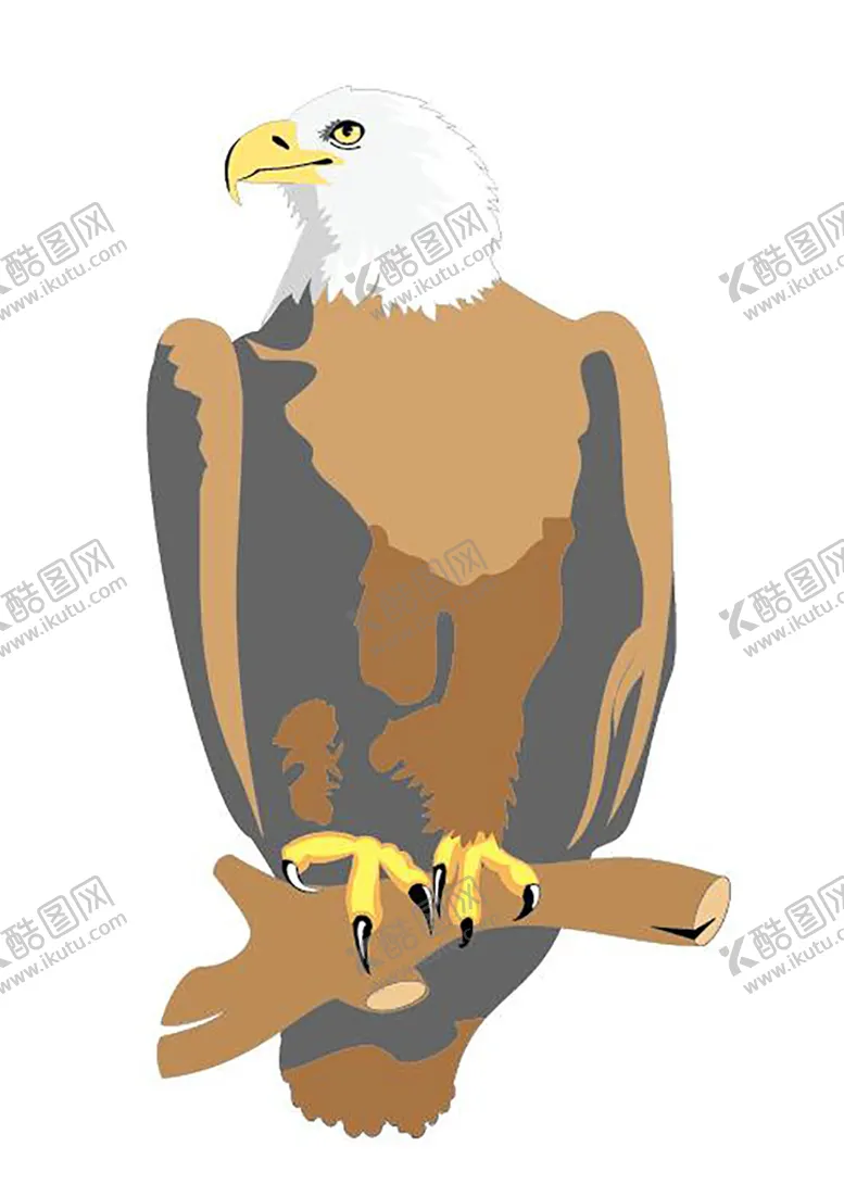编号：25760909181413138279【酷图网】源文件下载-鹰