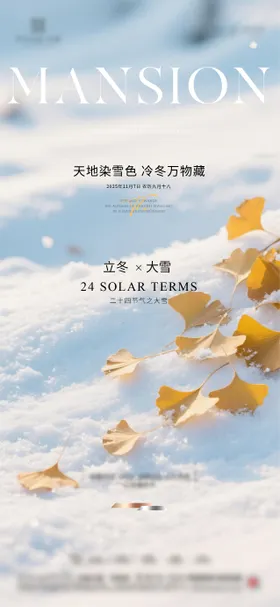 立冬大雪节气海报