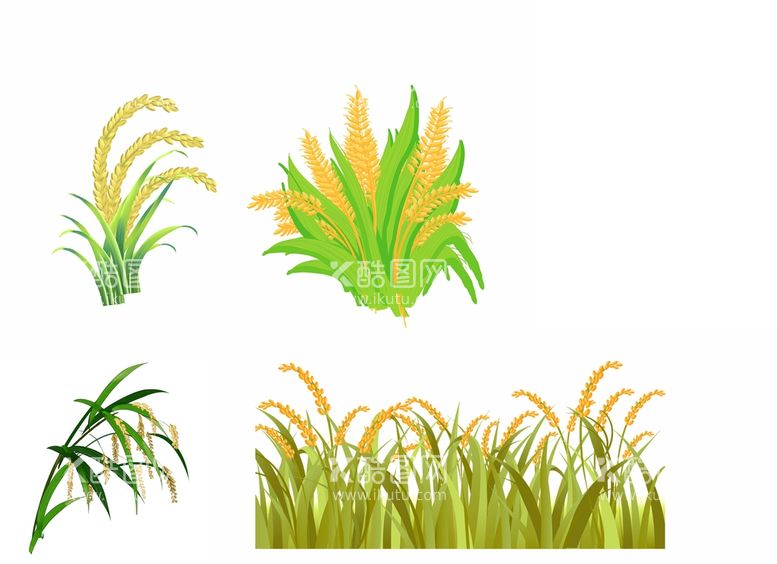 编号：88469512021440012251【酷图网】源文件下载-水稻素材