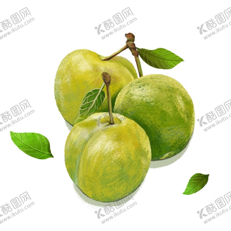 编号：87499212061936532422【酷图网】源文件下载-李子