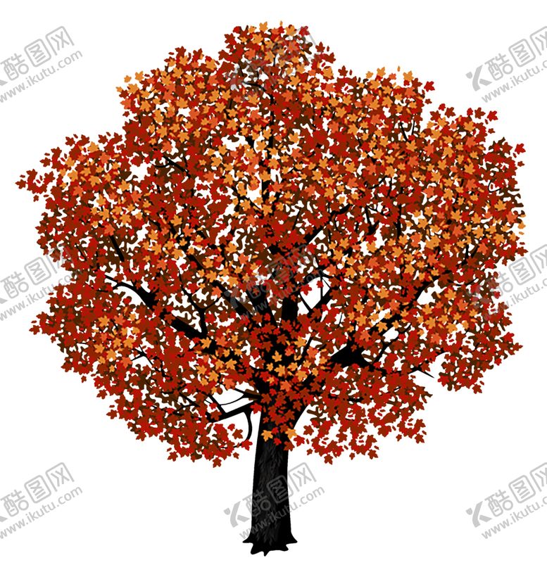编号：20243209220707362178【酷图网】源文件下载-透明大树png素材