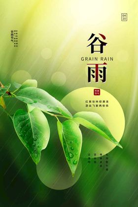 谷雨海报