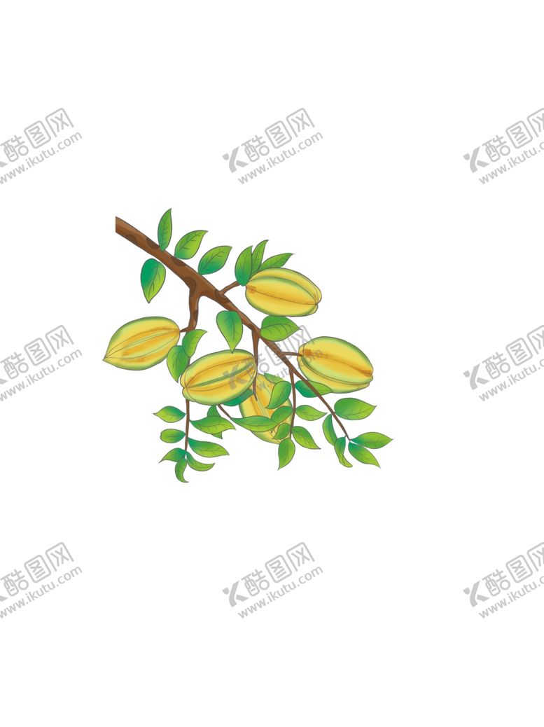 编号：70269310021619047185【酷图网】源文件下载-杨桃手绘插画水果