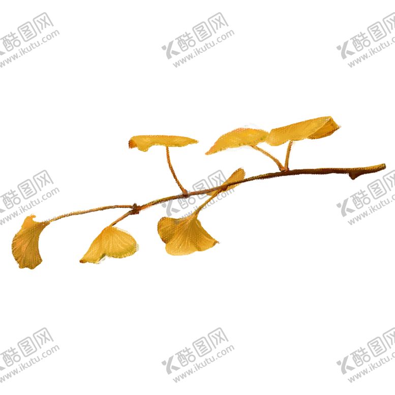 编号：31970805160850495585【酷图网】源文件下载-秋天银杏叶