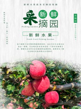 摘水果