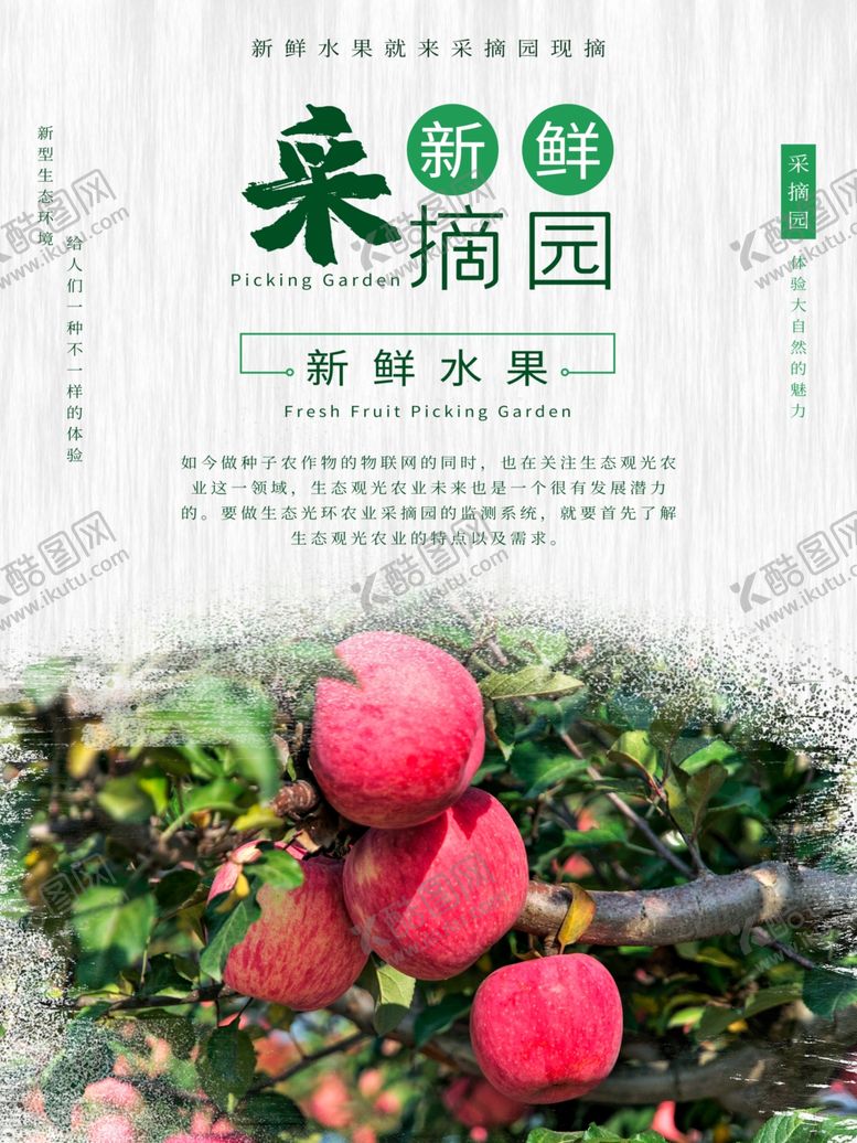 编号：57666605130558301928【酷图网】源文件下载-摘水果