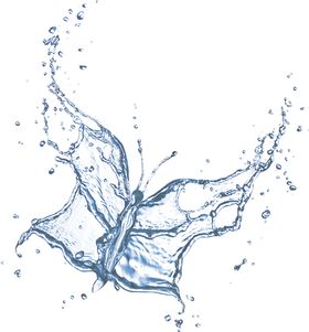 水花