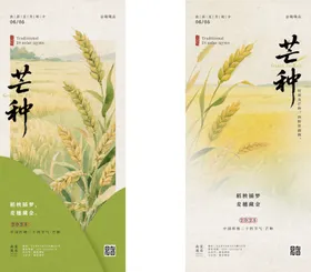 芒种