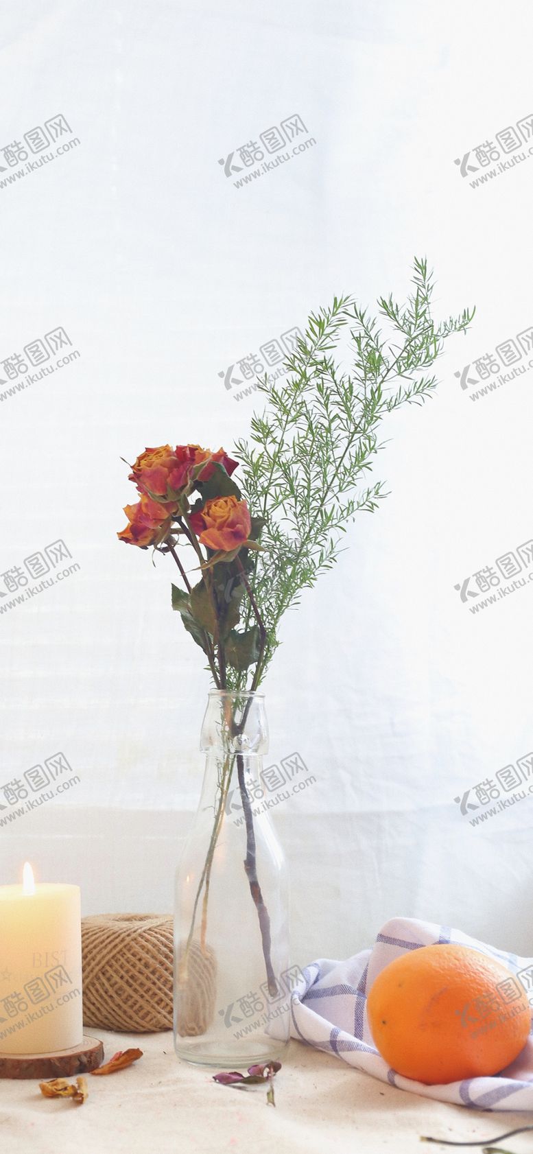 编号：21056506261528235076【酷图网】源文件下载-手机壁纸