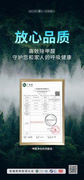 甲醛净化报告海报
