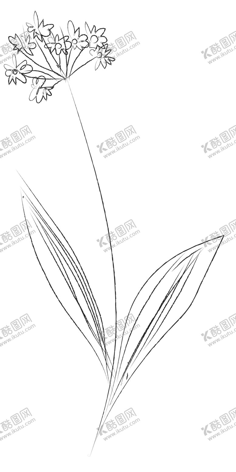 编号：31730309260601378669【酷图网】源文件下载-手绘植物花卉