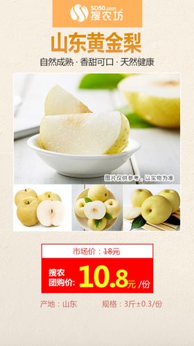 山东黄金梨