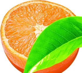 橙子