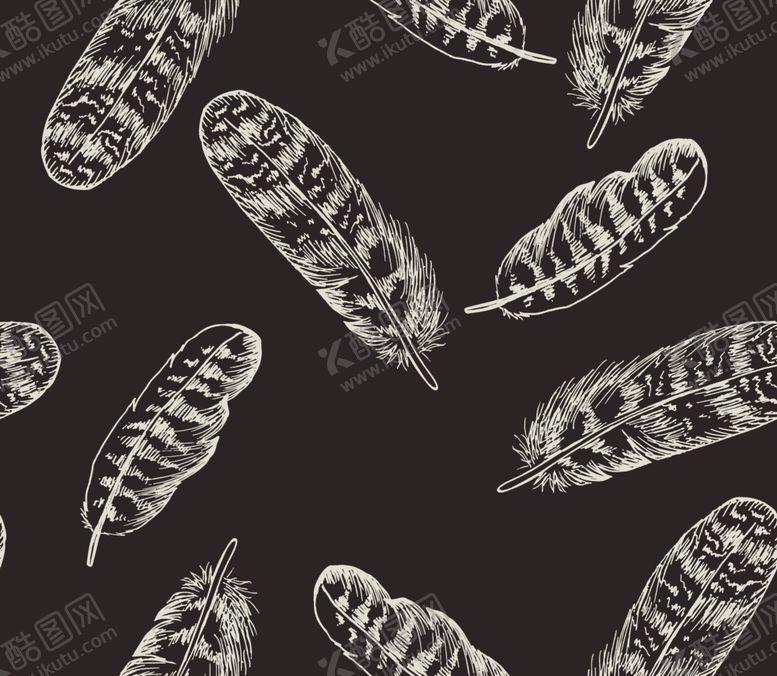 编号：71205410021355013993【酷图网】源文件下载-羽毛