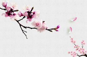桃花桃花花枝花开