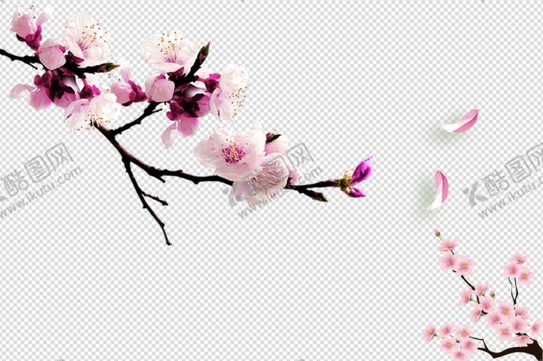 编号：31752109102315522243【酷图网】源文件下载-桃花桃花花枝花开
