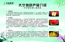 蓝绿色乡村产品介绍展板
