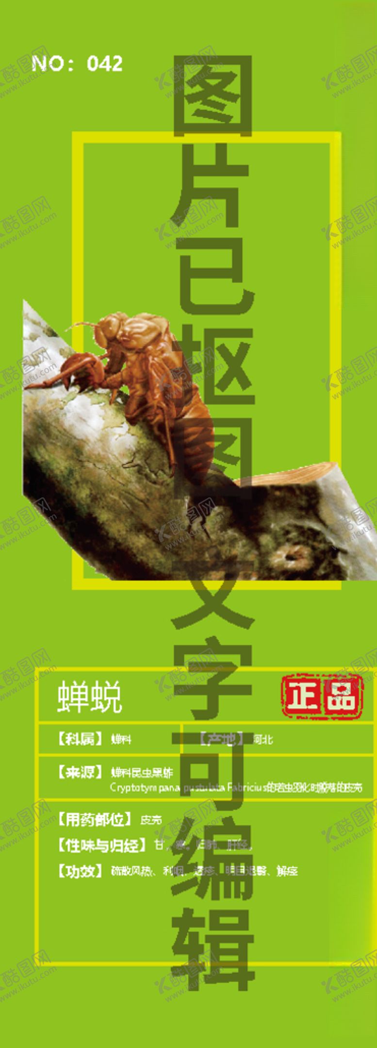 编号：59577209230600014826【酷图网】源文件下载-蝉蜕