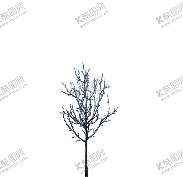 编号：32169206301711339465【酷图网】源文件下载-树木