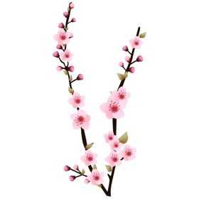 手绘粉色樱花免扣素材图片背景十里封面