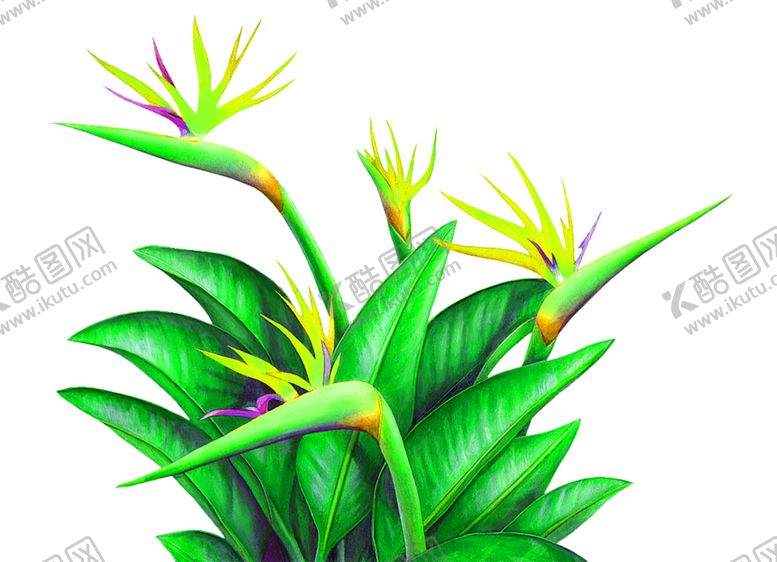 编号：29935710181420458907【酷图网】源文件下载-浪漫素材