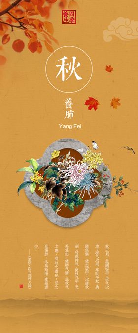养生文化  春  夏  秋 冬
