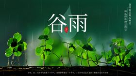 谷雨插画宣传