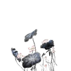 荷花素材手绘叶清廉中国风