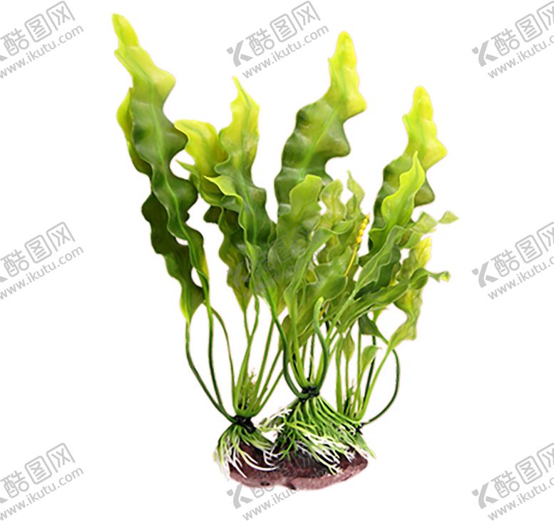 编号：68278009281954281684【酷图网】源文件下载-绿色相框