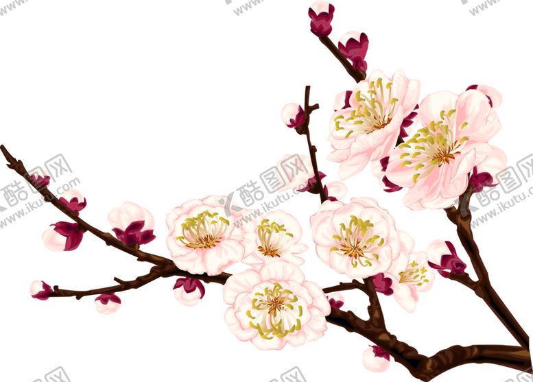 编号：23330407022118249695【酷图网】源文件下载-桃花