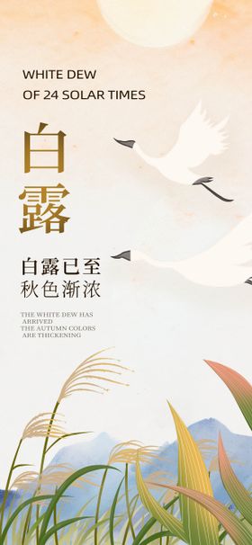 二十四节气白露节气海报